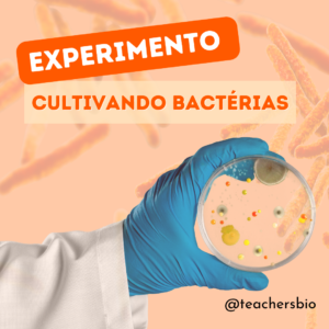 Atividades experimentais