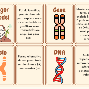 Atividades lúdicas