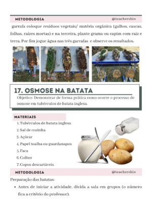 38 ROTEIROS DE AULAS PRÁTICAS - Imagem 3