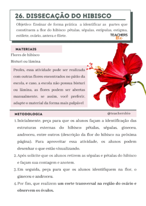 38 ROTEIROS DE AULAS PRÁTICAS - Imagem 2