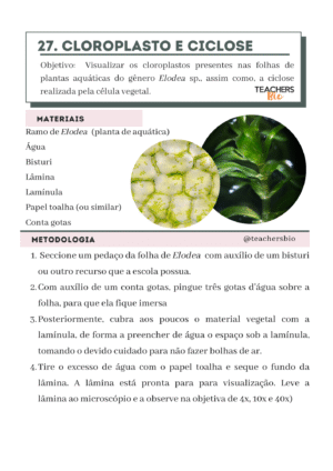 38 ROTEIROS DE AULAS PRÁTICAS - Imagem 4